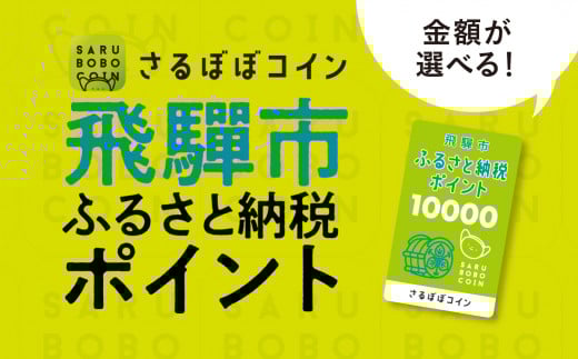 さるぼぼコイン　飛騨市ふるさと納税ポイント 3,000pt