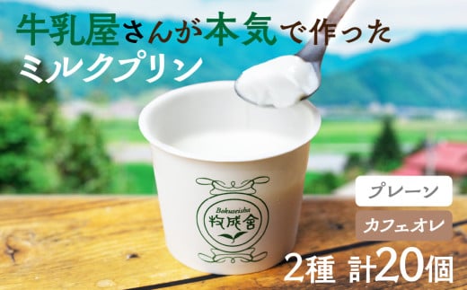 牛乳屋さんのつくるミルクの自然なおいしさを詰め込んだ濃厚ミルクプリン2種 20個 プレーン カフェオレ お菓子 スイーツ 洋菓子 寒天 冷凍発送 卵不使用 生クリーム不使用 食べ比べ  牧成舎