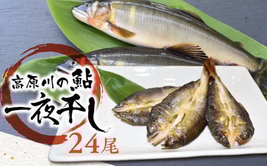 鮎の一夜干し 6袋 岐阜県産 あゆ アユ 鮎 常備食 簡単調理 便利