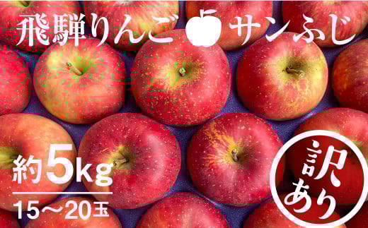 【11月下旬から1月上旬発送】《訳あり》りんご サンふじ 約5kg 15~20玉 飛騨りんご 林檎 黒内果樹園 果物 国産 飛騨産 ご家庭用 家庭用 無袋栽培 syun35