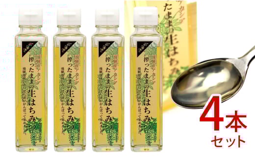 飛騨産 搾ったままの生はちみつ アカシアはちみつ 4本(200g×4)国産 蜂蜜