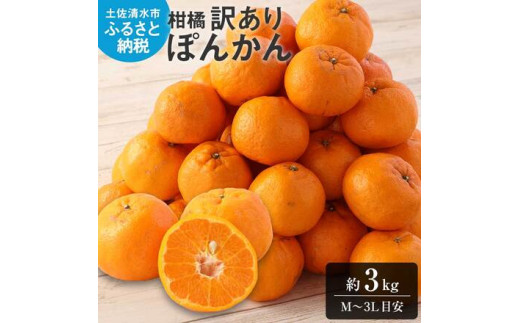 【令和8年発送】【訳あり】ぽんかん3kg 谷川果樹園 デコポンの親  みかん 蜜柑 ミカン 不知火 しらぬい 柑橘 かんきつ ポンカン フルーツ オレンジ 果物 くだもの 果汁 甘い【R01375】