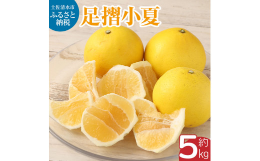 [令和8年発送] 早川農園の足摺小夏(5kg)日向夏 みかん ニューサマーオレンジ 柑橘 フルーツ こなつ 小夏 果物 特産 5キロ S〜Lサイズ混合 美味しい 高知 [R00397]