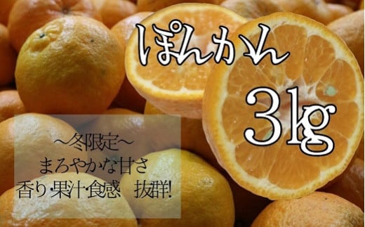 [R8年発送]早川農園のぽんかん(3kg) デコポンの親 みかん 柑橘 果実 果物 ポンカン ぽんかん くだもの フルーツ デザート スイーツ 柑橘類 おやつ 3キロ 3kg 美味しい[R00095]