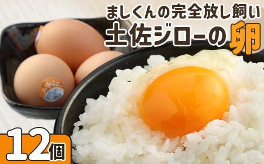 ましくんの完全放し飼い土佐ジローの卵(12個入り)もみ殻梱包 ブランド卵 タマゴ 玉子 たまご 生卵 鶏卵 土佐地鶏 濃厚 新鮮 食品 プレゼント ギフト 送料無料 【R00176】