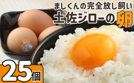 ましくんの完全放し飼い土佐ジローの卵(25個入り)もみ殻梱包 ブランド卵 タマゴ 玉子 たまご 生卵 鶏卵 土佐地鶏 濃厚 新鮮 食品 プレゼント ギフト 送料無料 【R00443】