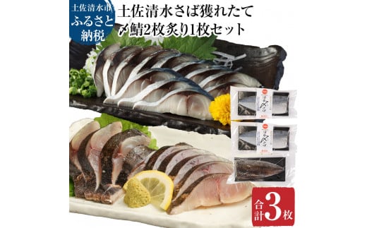 獲れたて土佐の清水さば 〆鯖2枚&炙り〆鯖1枚セット(ブランドゴマサバ・1枚あたり約170g~210g)合計3枚 刺身 フィレ 切り身 骨なし おつまみ さば サバ 鯖 魚介類 高知県 土佐清水市【R00457】