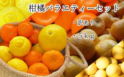 【先行予約】令和8年発送 数量限定<訳あり>柑橘バラエティーセット(5kg) みかん 果物 果実 フルーツ デザート 健康 美味しい お楽しみ 詰め合わせ 文旦 ぽんかん はるか 麗紅【R01374】