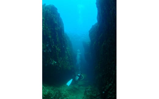 絶景竜串海中公園！ファンダイビング２ボート体験券(Cカード所有者1名用)チケット マリンスポーツ 観光【R01523】