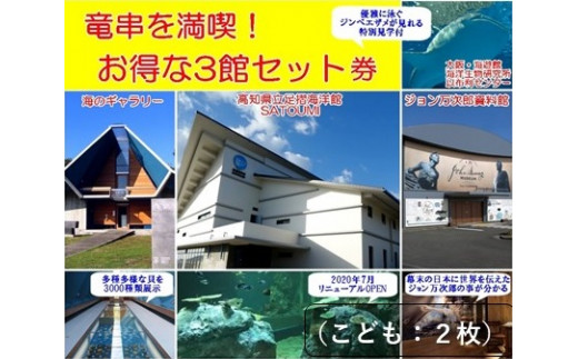 水族館・資料館・展示館　ぐるっと竜串　お得な3館入場券セット（小学生～高校生までの子供２名用）高知県土佐清水市 観光チケット 旅行券 トラベル【R00115】