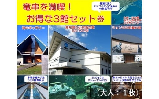 水族館・資料館・展示館　ぐるっと竜串　お得な3館入場券セット（大人１名用）高知県土佐清水市 観光チケット 旅行券 トラベル【R00107】