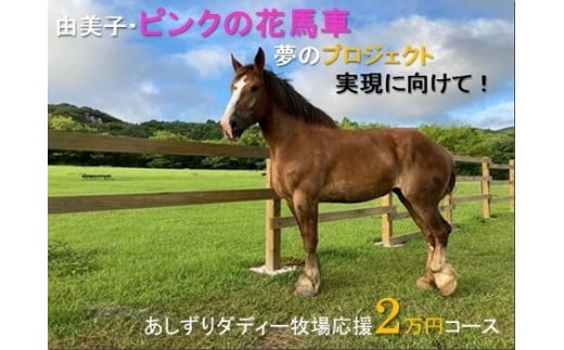 由美子・ピンクの花馬車夢のプロジェクト実現に向けて！あしずりダディー牧場応援（２万円コース）クラウンドファンディング クラファン 馬主 競馬 動物【R00576】
