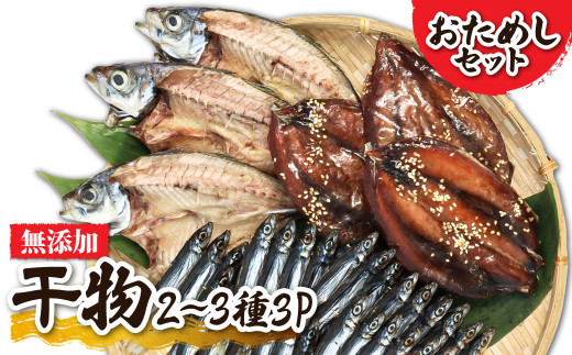 干物 乾物 無添加 季節の干物2~3種類おためしセット(ギフト・お歳暮・お中元対応)冷凍惣菜 おつまみ 塩のみ使用 お試し セット 詰め合わせ 国産 ひもの 季節 旬 冷凍配送【R00795】