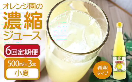 オレンジ園の濃縮ジュース 小夏 500ml 3本 6回定期便 希釈用 みかんジュース チューハイ用 ドリンク ジュース 柑橘類 蜜柑 みかん【J00115】