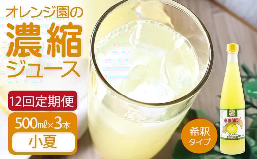 オレンジ園の濃縮ジュース 小夏 500ml 3本 12回定期便 希釈用 みかんジュース チューハイ用 ドリンク ジュース 柑橘類 蜜柑 みかん【J00121】