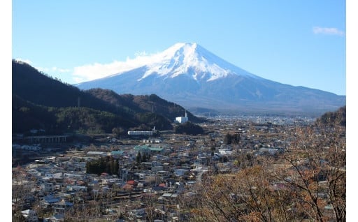 ③その他 町長が必要と認める事業