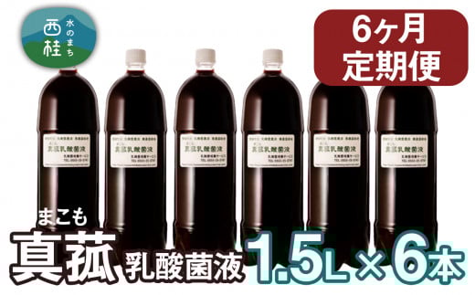 【定期便】真菰（まこも）乳酸菌液　1.5L×6本　6ヶ月定期便 ／ マコモ 無農薬栽培 山梨県【n0511-06_nyu】