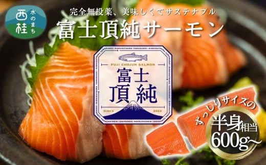 富士頂純サーモン 刺し身セット 半身分3分割 600g以上 富士山麓のきれいな天然水で養殖された安心安全な国産サーモン 刺身 小分け 生食サーモン 国産 海鮮丼 カルパッチョ 生食 海鮮 冷凍 人気 フィレ 切り身 皮なし 骨なし 骨取り ムニエル 刺身 [注目]【n0556_nes_A】