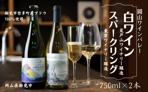 岡山ワインバレー 白ワイン・スパークリング 2本セット 荒戸山ワイナリー醸造 東京ワイナリー醸造 750ml