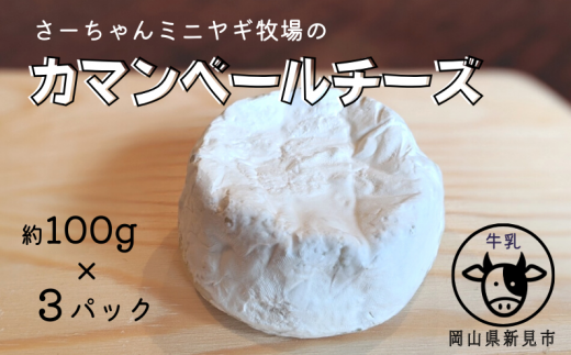 【限定:11月~3月発送・牛乳使用】カマンベールチーズ 約100g×3パック