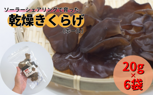 新見産乾燥きくらげ (ホール)  20g×6袋