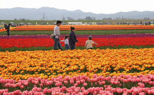 （3）ふるさと五泉のいいモノ・いいコト　地域の魅力をつなぐために