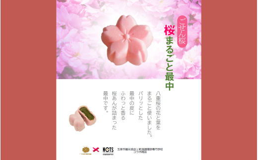桜まるごと最中 8個入り | 最中 もなか 桜あん 和菓子 お菓子 和スイーツ お取り寄せ グルメ 食品 プレゼント ギフト 新潟県 五泉市 一般社団法人 五泉市観光協会