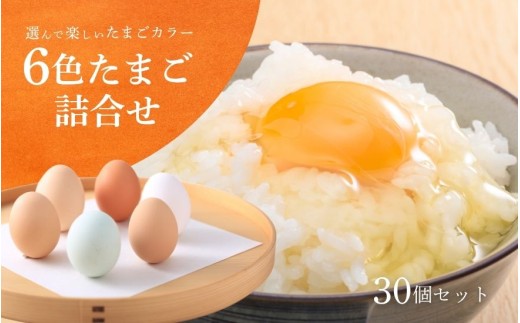 卵 6色たまご詰合せ 30個 キムラファームの産みたて卵 | 産みたて たまご 卵 玉子 タマゴ 鶏卵 オムレツ 卵かけご飯 たまご焼きお取り寄せ 新潟県 五泉市