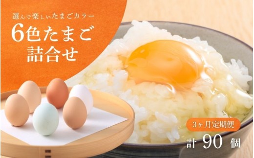 【  定期便 3ヶ月 】 卵 6色たまご詰合せ 30個 × 3回 キムラファームの産みたて卵 | 産みたて たまご 卵 玉子 タマゴ 鶏卵 卵かけご飯 新潟県 五泉市