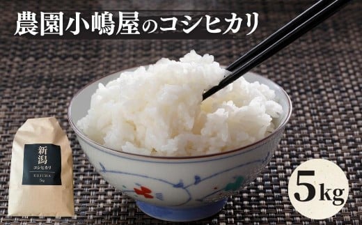 令和7年産 新米  米 5kg 五泉産 コシヒカリ 農園小嶋屋 | 白米 精米 こしひかり お米 おこめ コメ こめ おすすめ 人気 新潟県 五泉市 [10月下旬以降順次発送]