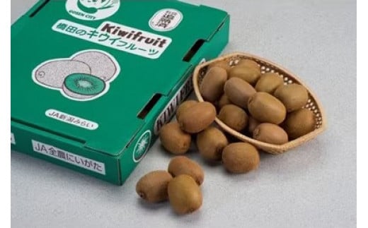 甘熟 キウイ 3.6kg キウイフルーツ 国産 | 果物 くだもの フルーツ お取り寄せ 人気 おすすめ 新潟県 五泉市 橋田キウイフルーツ生産組合
