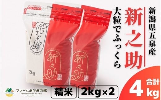 令和7年産 新之助 精米 4kg 新潟県 五泉市 ファームみなみの郷