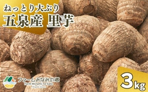 令和7年産 五泉産 大玉さといも 3㎏（2L以上） 新潟県 五泉市 ファームみなみの郷