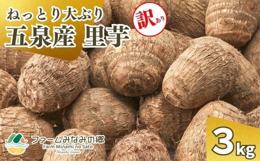 令和7年産【訳あり】五泉産　大玉さといも（2L以上）3㎏ 新潟県 五泉市 ファームみなみの郷