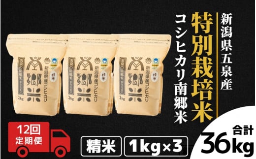 令和7年産 新米 【 定期便 12ヶ月 】 米 3kg ( 1kg × 3袋 ) × 12回 五泉産 コシヒカリ 100％ 南郷米 特別栽培米 | 白米 精米 こしひかり お米 おこめ 新潟県 五泉市 ファームみなみの郷