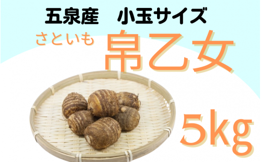 さといも 小玉サイズ 帛乙女 5kg ( M・Lのいずれか ) ※サイズ指定不可 | 里芋 サトイモ きぬおとめ 特産 名産 産地直送 贈答 贈り物 ギフト お取り寄せ おすすめ 新潟県 五泉市 五泉市園芸組織連絡協議会