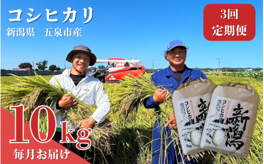 [3回定期便][令和6年産新米] なごみ農園のコシヒカリ 10kg (5kg×2袋) 新潟県 五泉市 なごみ農園