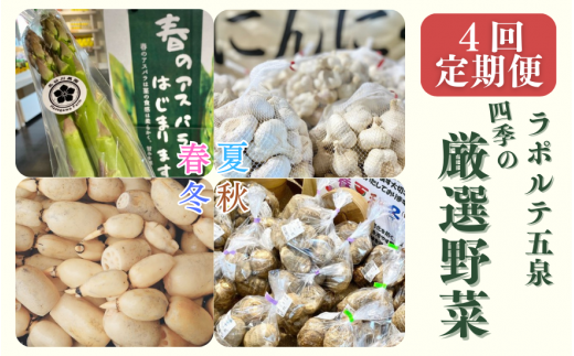 【 定期便 4回 】 ラポルテ五泉 四季の厳選野菜 ( 季節ごとに4～5品種をお届け ) | 野菜 やさい 春 夏 秋 冬 新潟県 五泉市 まるっと五泉プロジェクトFunSpace株式会社