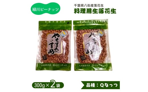 生落花生( Qなっつ ) 料理用 300g × 2袋 合計600g 八街産落花生 調理用落花生 千葉県産 八街市産  緑川商店