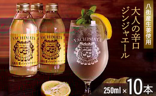【八街市産生姜のみ使用】大人の辛口ジンジャーエール 250ml × 10本 ジンジャーエール 生姜 八街 ジュース ジンジャー 瓶 ビン セット 辛口