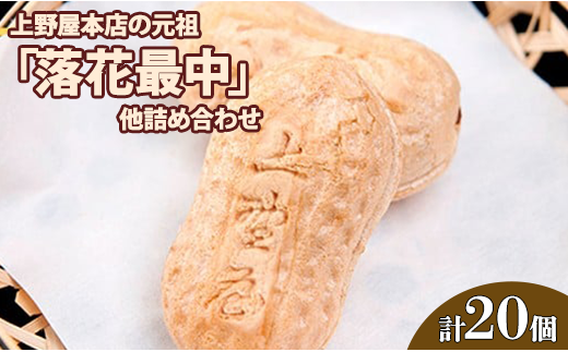 上野屋本店の元祖「落花最中」他詰め合わせ