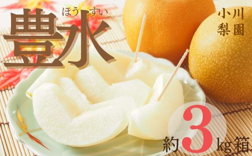 ＼ 数量限定 / 豊水梨 3kg 小川梨園 申込受付中 ! 豊水 梨 なし 千葉県 千葉なし 梨豊水 9月発送 先行予約