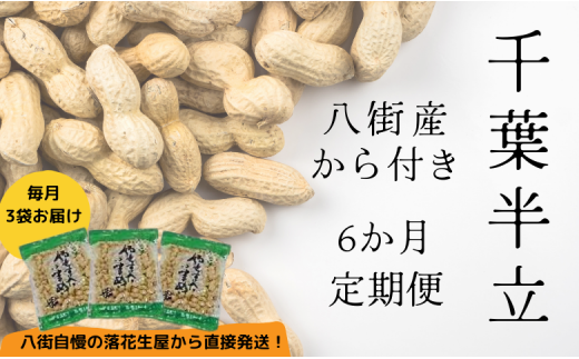 落花生 【6か月定期便】八街産カラ付落花生 「千葉半立」