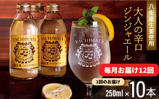 【毎月お届け12回】 八街生姜ジンジャーエール ( 250ml × 10本 × 12回 ) ジンジャーエール 生姜 八街 定期便 ジュース ジンジャー 瓶 ビン セット