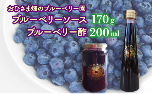 【おひさま畑のブルーベリー園】ブルーベリーソース(170g)1本×ブルーベリー酢(200ml) 1本