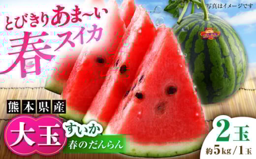 【2026年発送分 先行予約】【数量限定】大玉すいか 2玉入（1玉 約5kg） 【一般社団法人クラッシーノこうし】 [AYAB057]