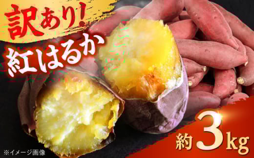 【先行予約】 【訳あり】 【数量限定】 紅はるか さつまいも 約3kg 1箱【Shiro Planning 株式会社】さつまいも 紅はるか 芋 サツマイモ 甘い 焼き芋 スイートポテト 熊本県産 ねっとり [AYAJ003]