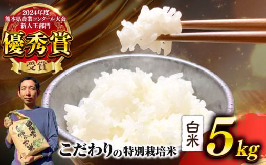 【先行予約】 【令和7年度】 くまさんの輝き 白米 5kg (1袋) （2025年10月下旬ごろ順次発送） 米 こめ コメ お米 はくまい 精米【坂本農園】 [AYCC021]