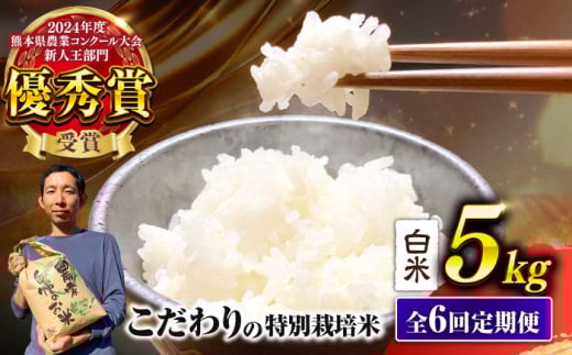 【先行予約】 【令和7年度】 【全6回定期便】 くまさんの輝き 白米 5kg 計30kg（2025年10月下旬ごろ順次発送） 米 こめ コメ お米 はくまい 精米【坂本農園】 [AYCC029]