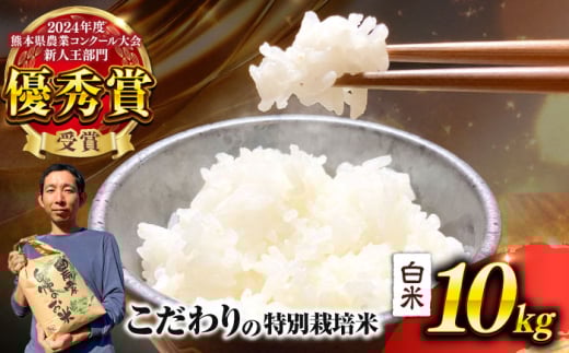 【先行予約】 【令和7年度】 くまさんの輝き 白米 10kg (1袋) （2025年10月下旬ごろ順次発送） 米 こめ コメ お米 はくまい 精米【坂本農園】 [AYCC035]